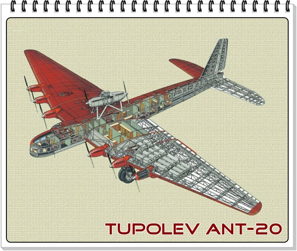 ant-20.jpg