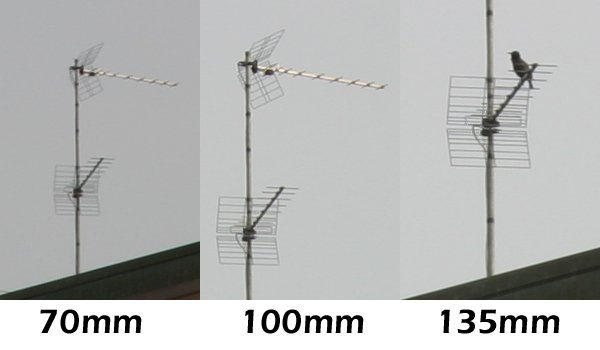 antenna.jpg