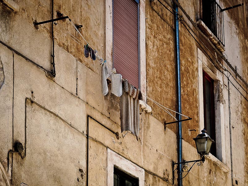 Aquila ferita_14.jpg