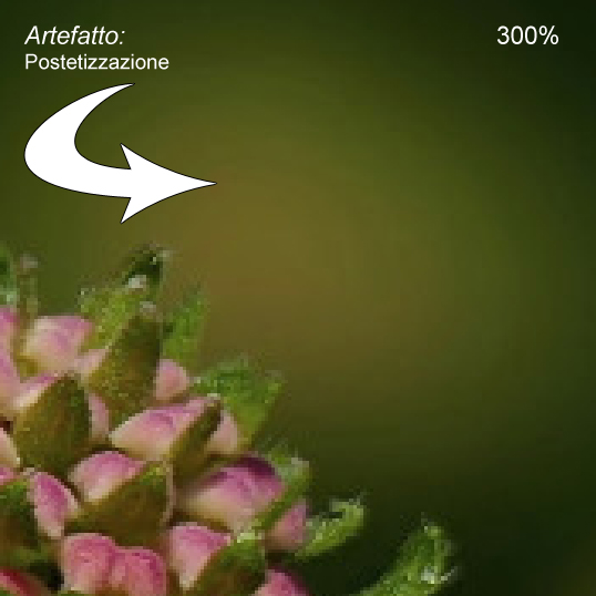 artefatto.jpg
