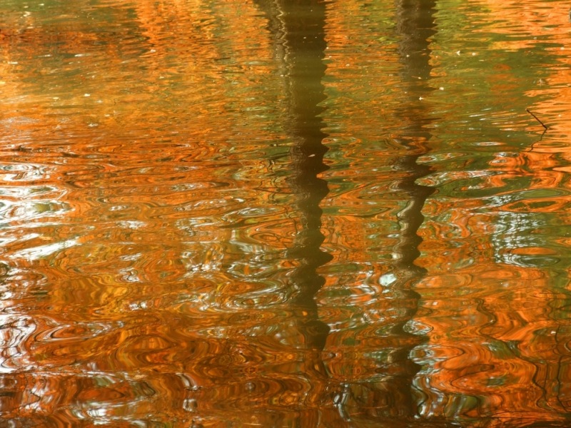 autunno11.jpg
