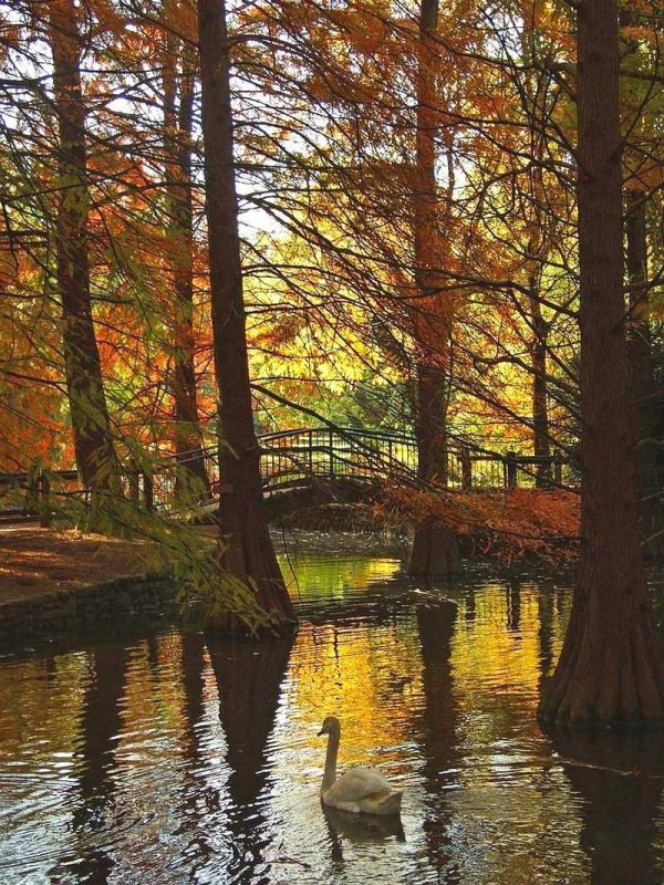 autunno21.jpg