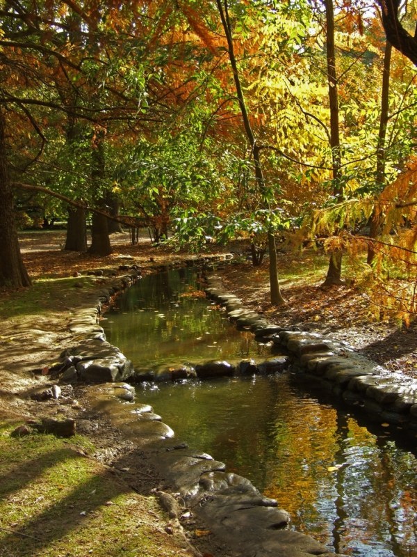 autunno5.jpg
