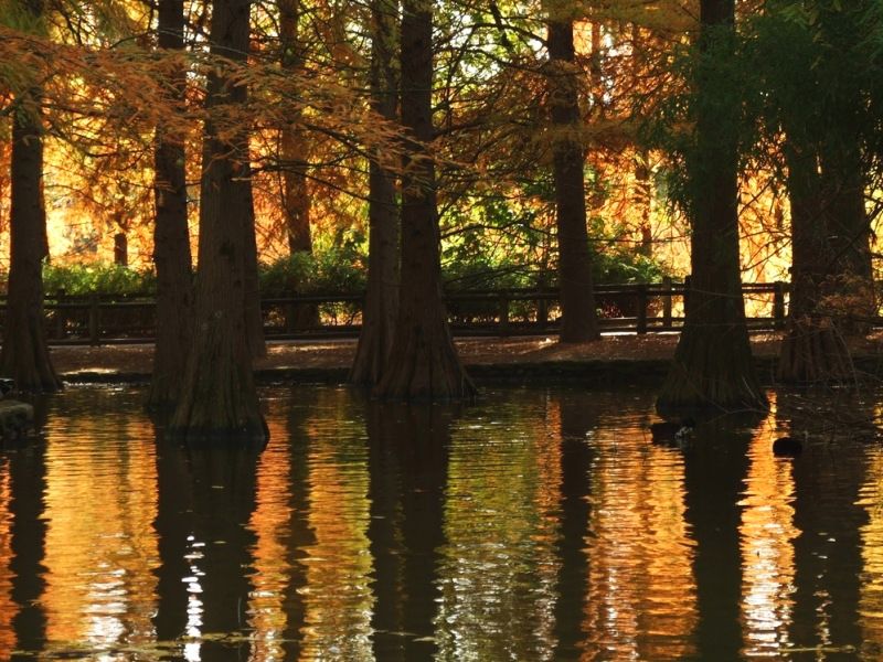 autunno7.jpg