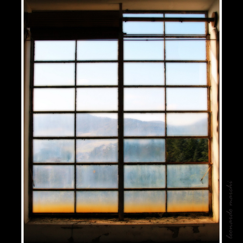 Banti_morello_0007.jpg