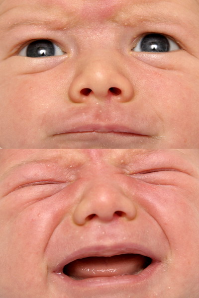 bino tom_ridimensionare.jpg