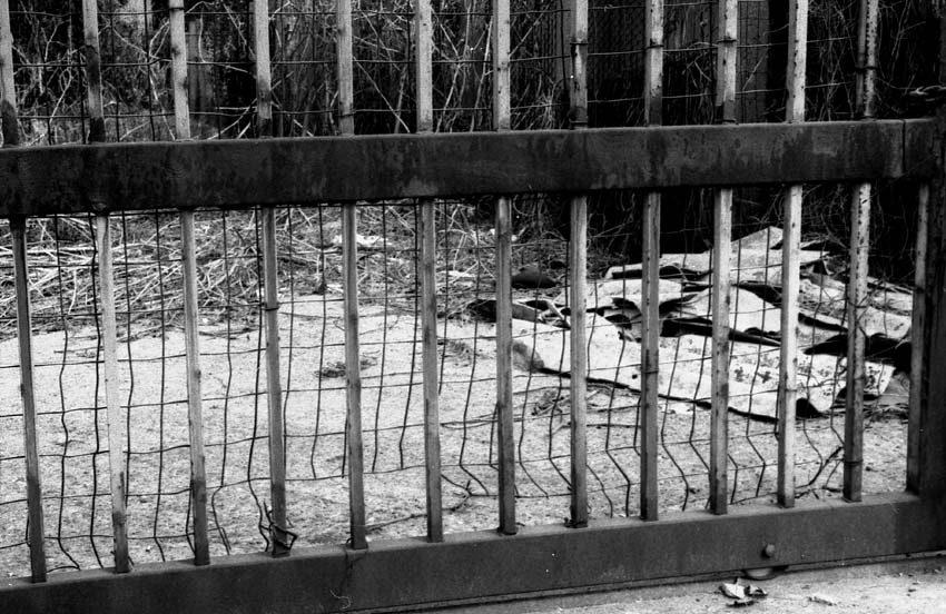 cancello 3 prova web.jpg