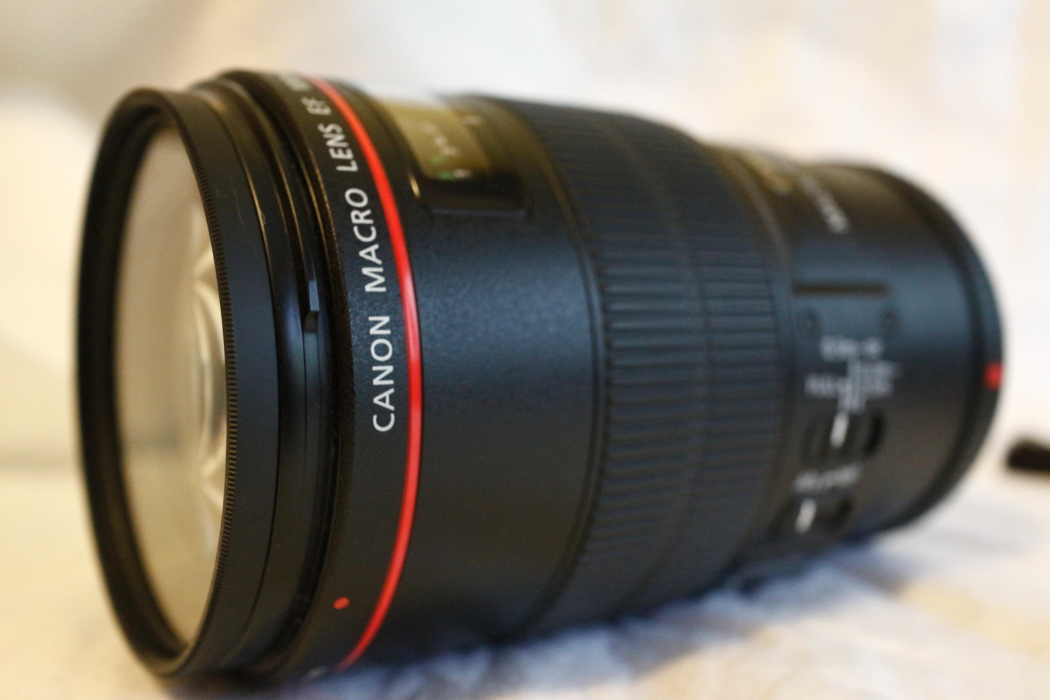 canon 1003.JPG
