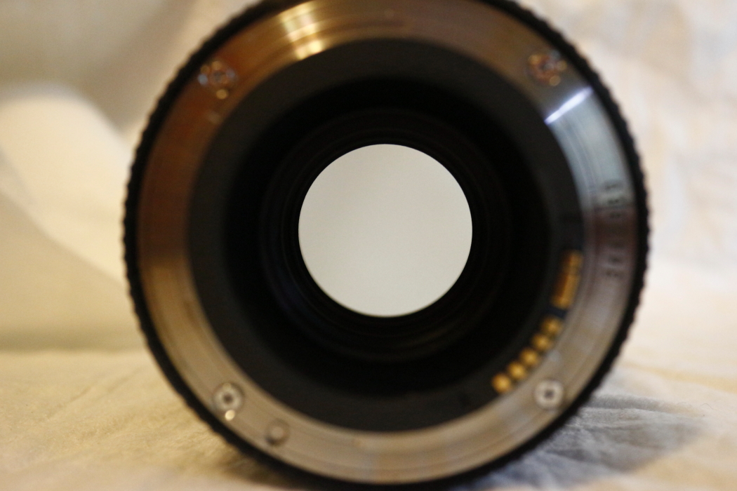 canon 1005.JPG
