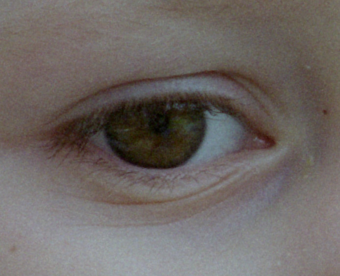 Canon_135_SC_100.jpg