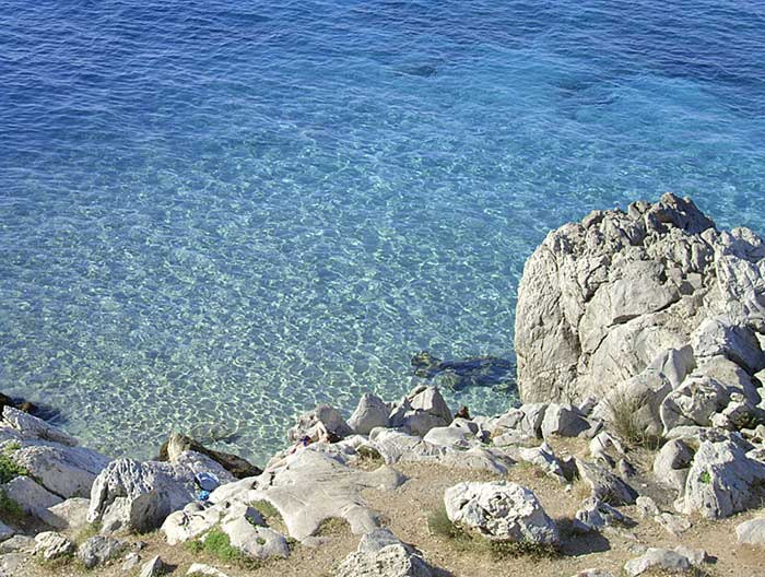 capo-gallo.jpg