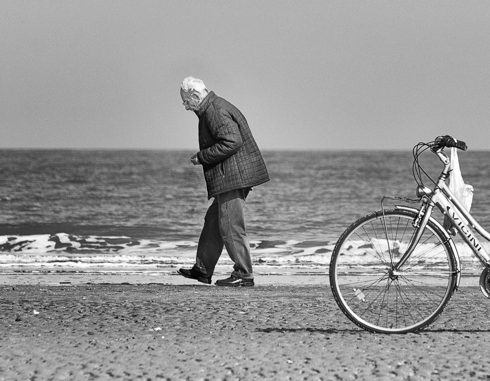 Cercatore di conchiglie II.jpg