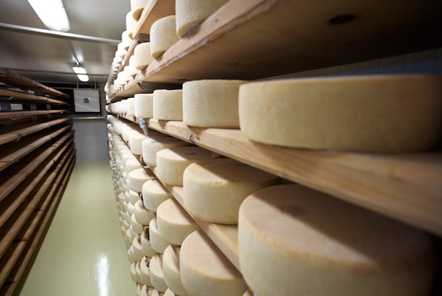 Cheese 4.jpg