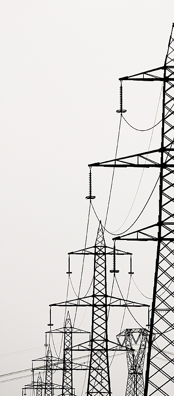 Christmas tree09_web_cut.jpg