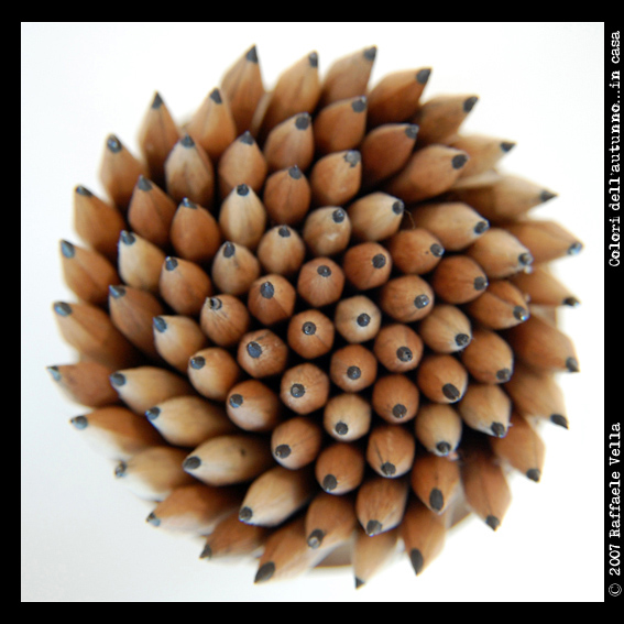 Colori dell'autunno... quadrata.jpg