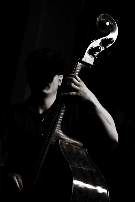 contrabbasso.jpg