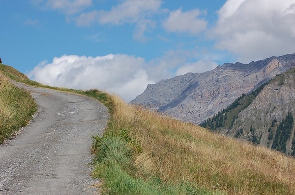 Copia di DSC_2381e.JPG