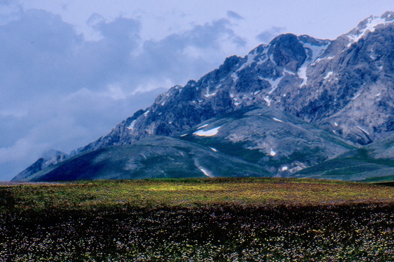 Copia di scansione0009.jpg