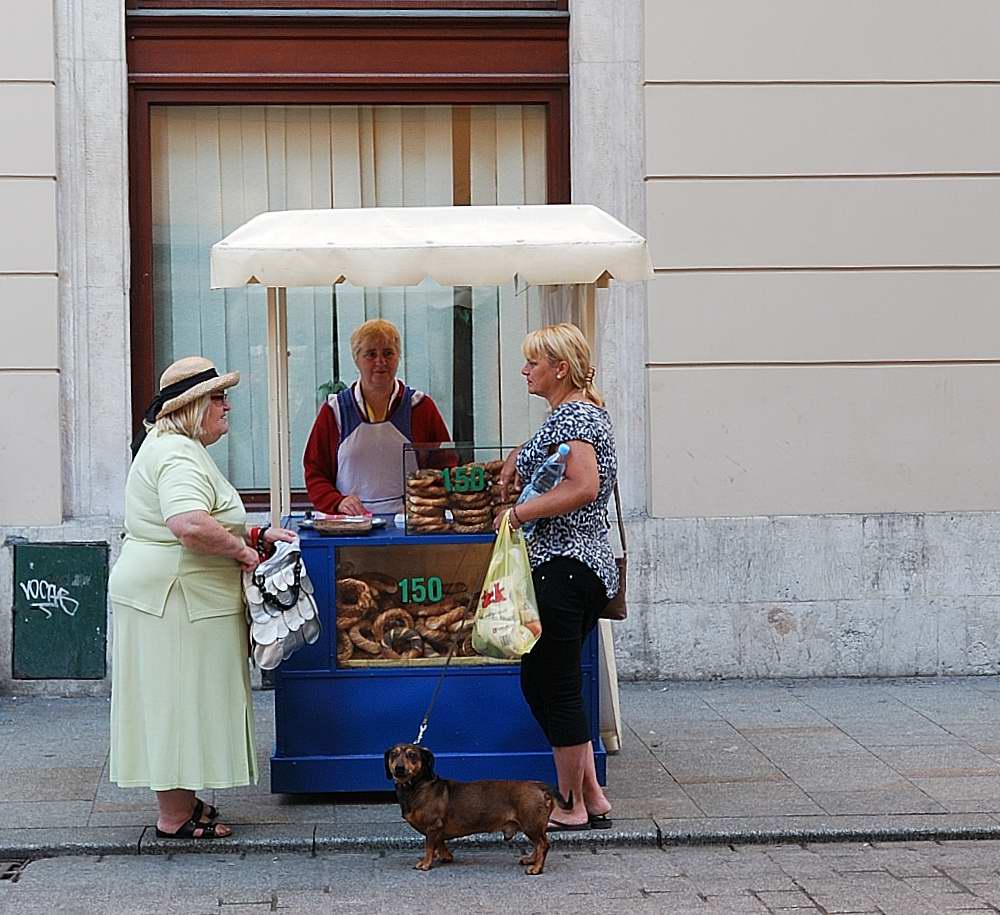 Cracovia _17 bis Luglio 2013.JPG