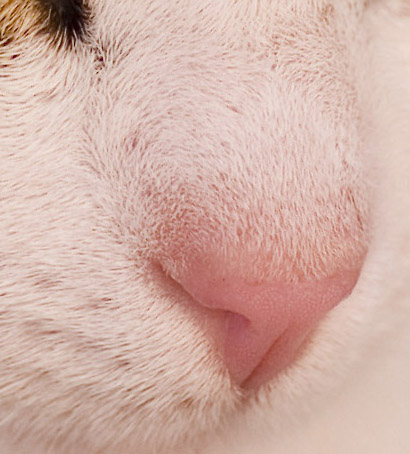 crop100f2,2.jpg