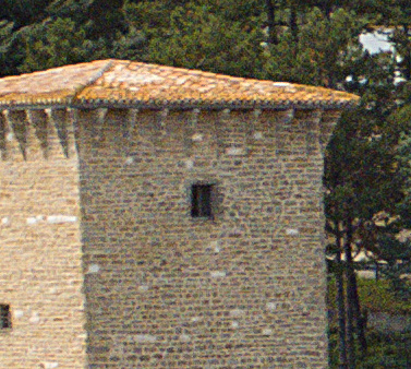 crop1hs10.jpg
