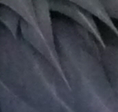 Crop400.jpg