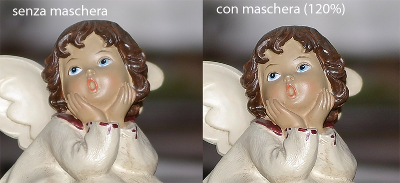 crop_1.jpg