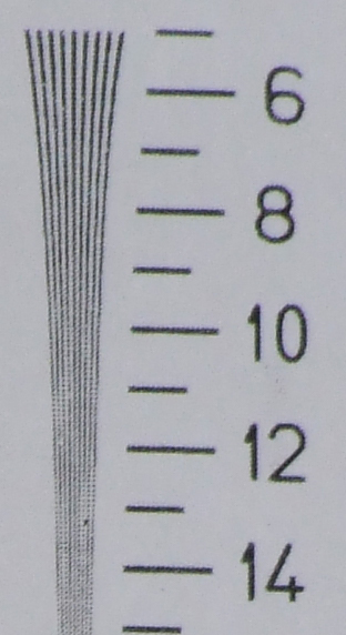 crop 3.jpg