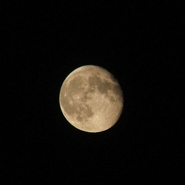 Crop_Luna_s5500.jpg