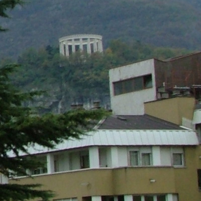 crop wild normale.jpg