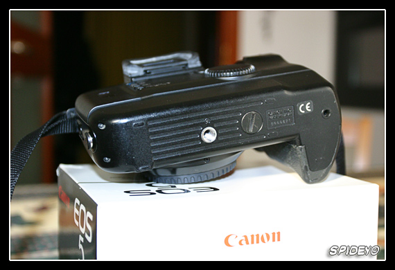 CRW_6688_RJ.jpg