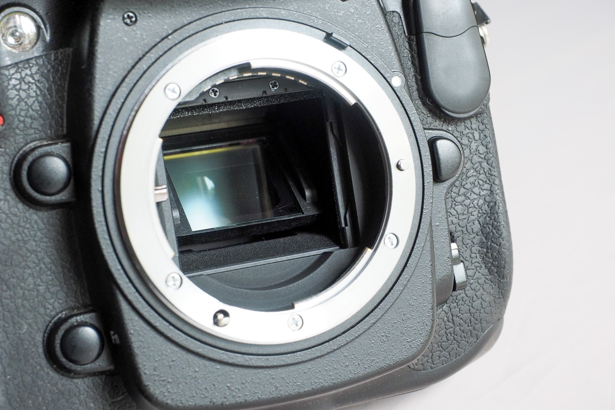 D300-6.jpg