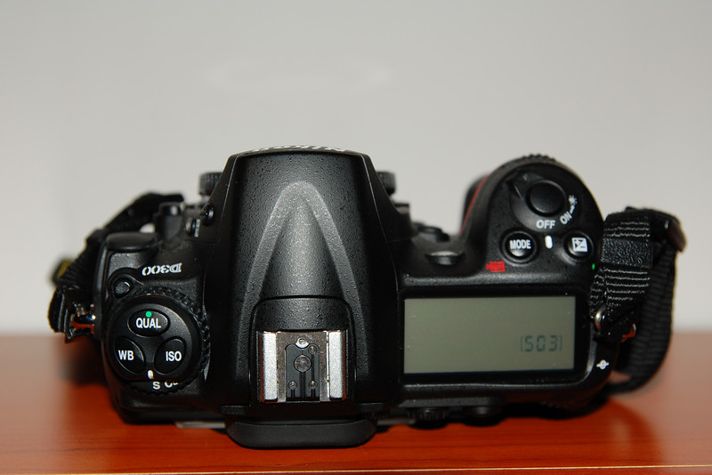 D300_5.jpg