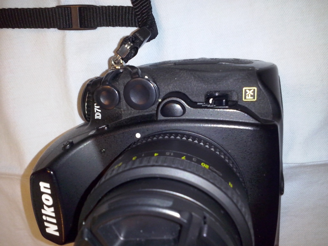 D700 i web.jpg