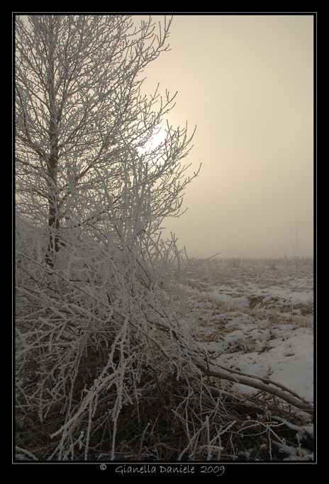DAN_2613-1-web.jpg