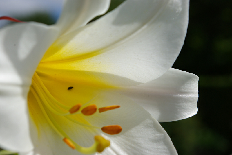 Denmark2008_1 702.jpg