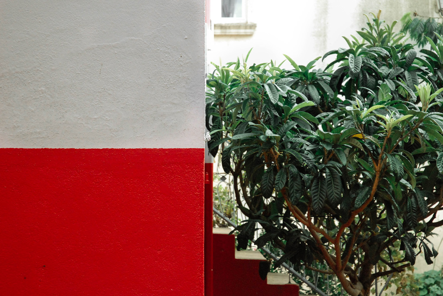 dettagli_colore1 ph.jpg