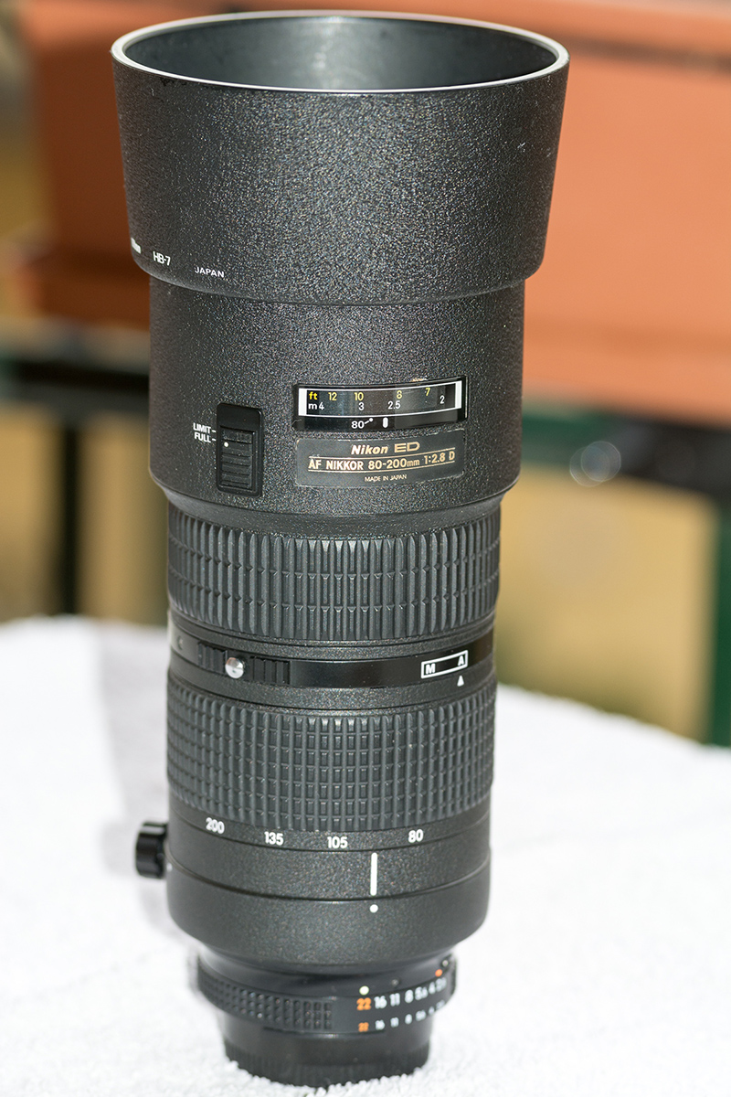 DGB_5855.jpg