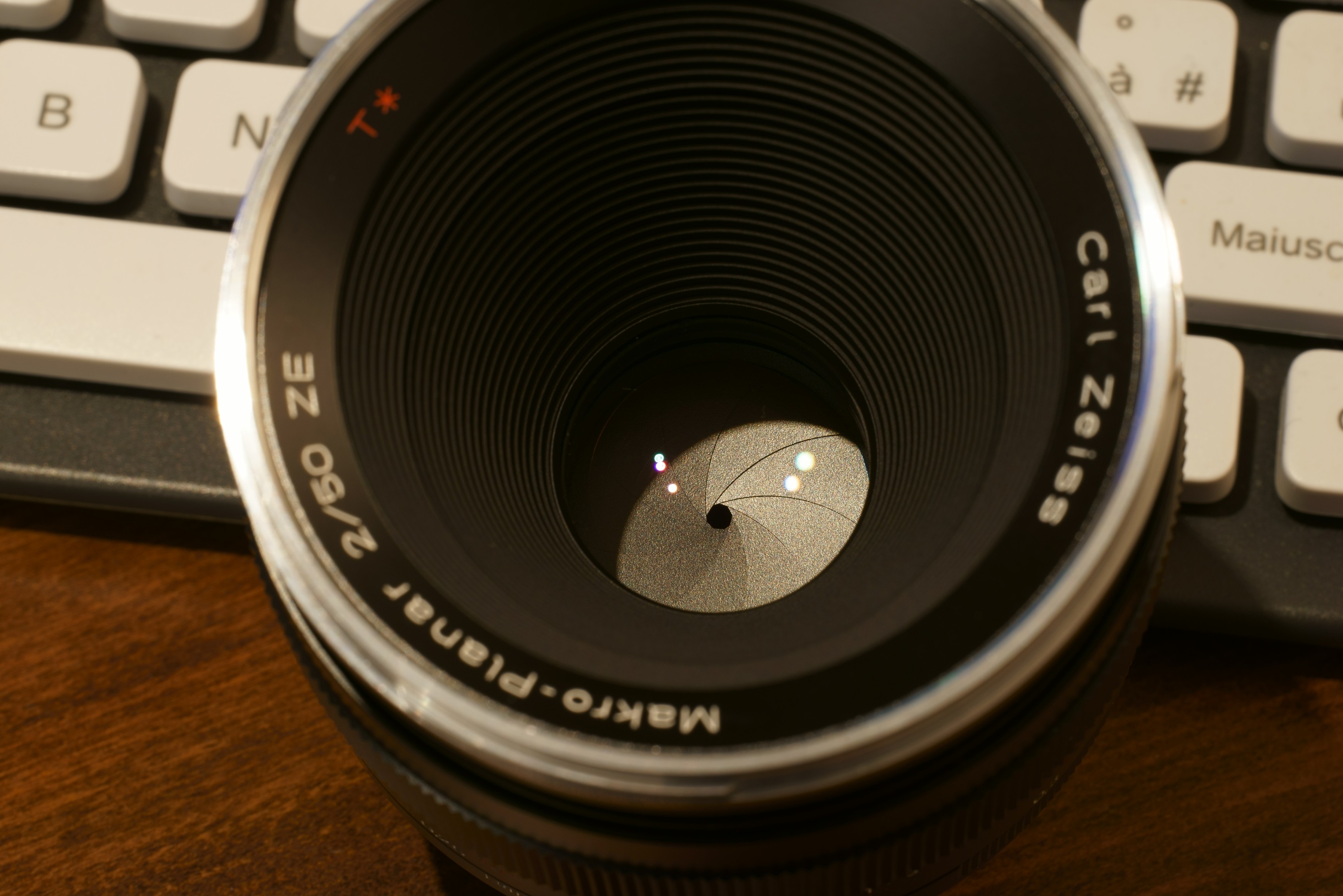 DSC04964 ridotta.jpg