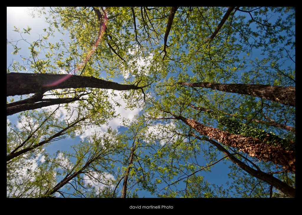 DSC_0082 (Copia) (3).jpg