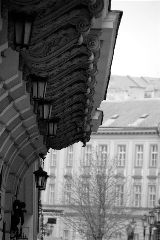 DSC_0091 (Custom).JPG