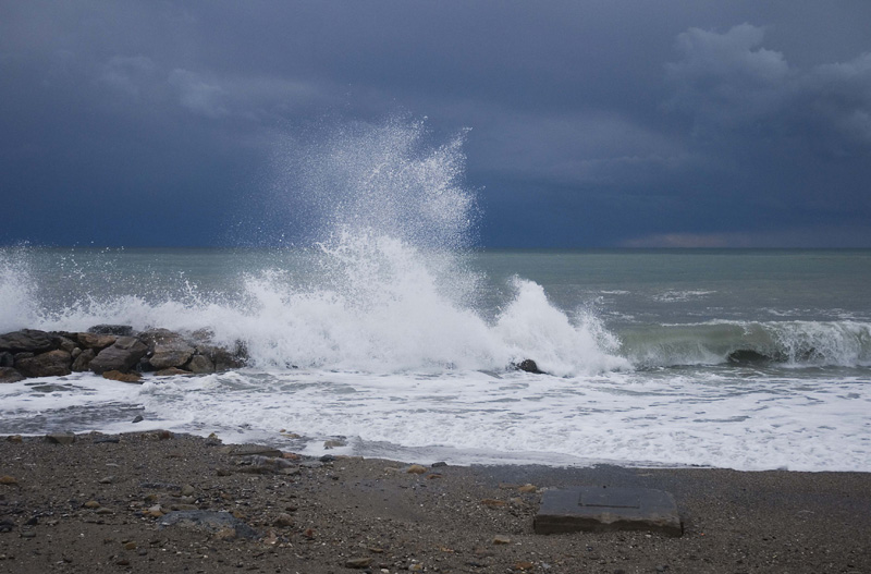 DSC_0121.jpg