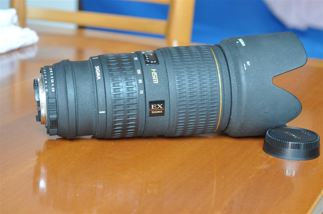 DSC_0598 (Custom).JPG