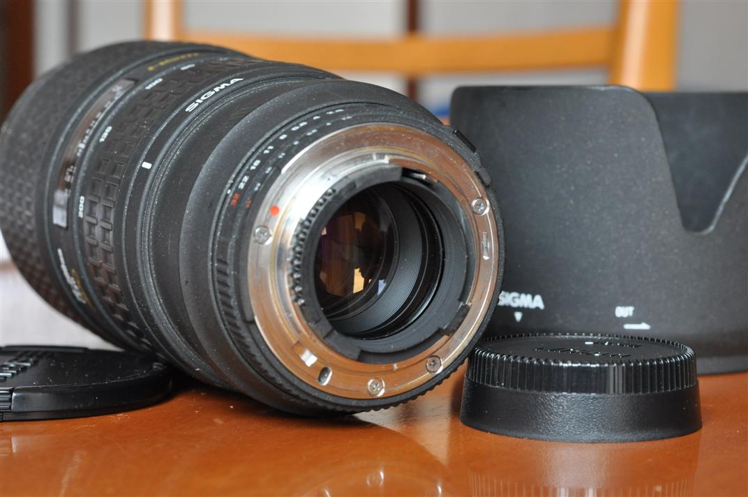 DSC_0601 (Custom).JPG