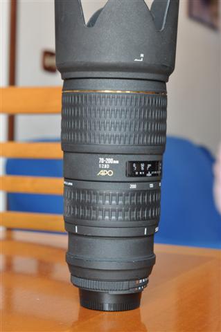 DSC_0602 (Small).JPG