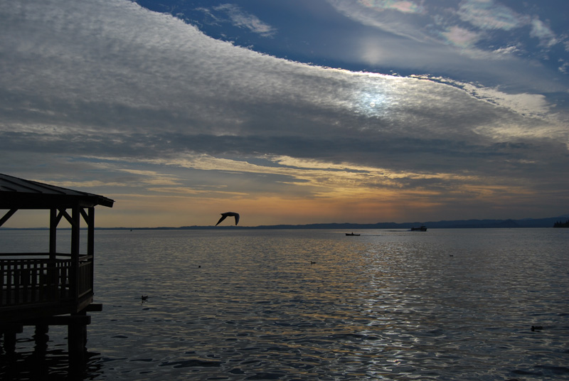 DSC_1388.jpg