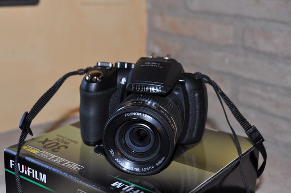 DSC_1483_ridimensionare.JPG