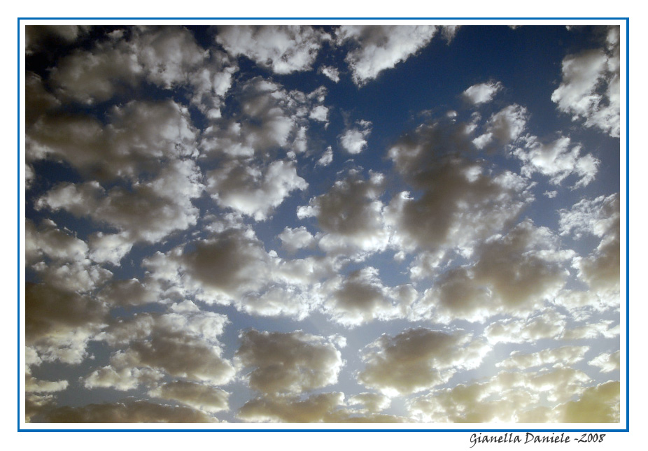 DSC_2887-web-1.jpg