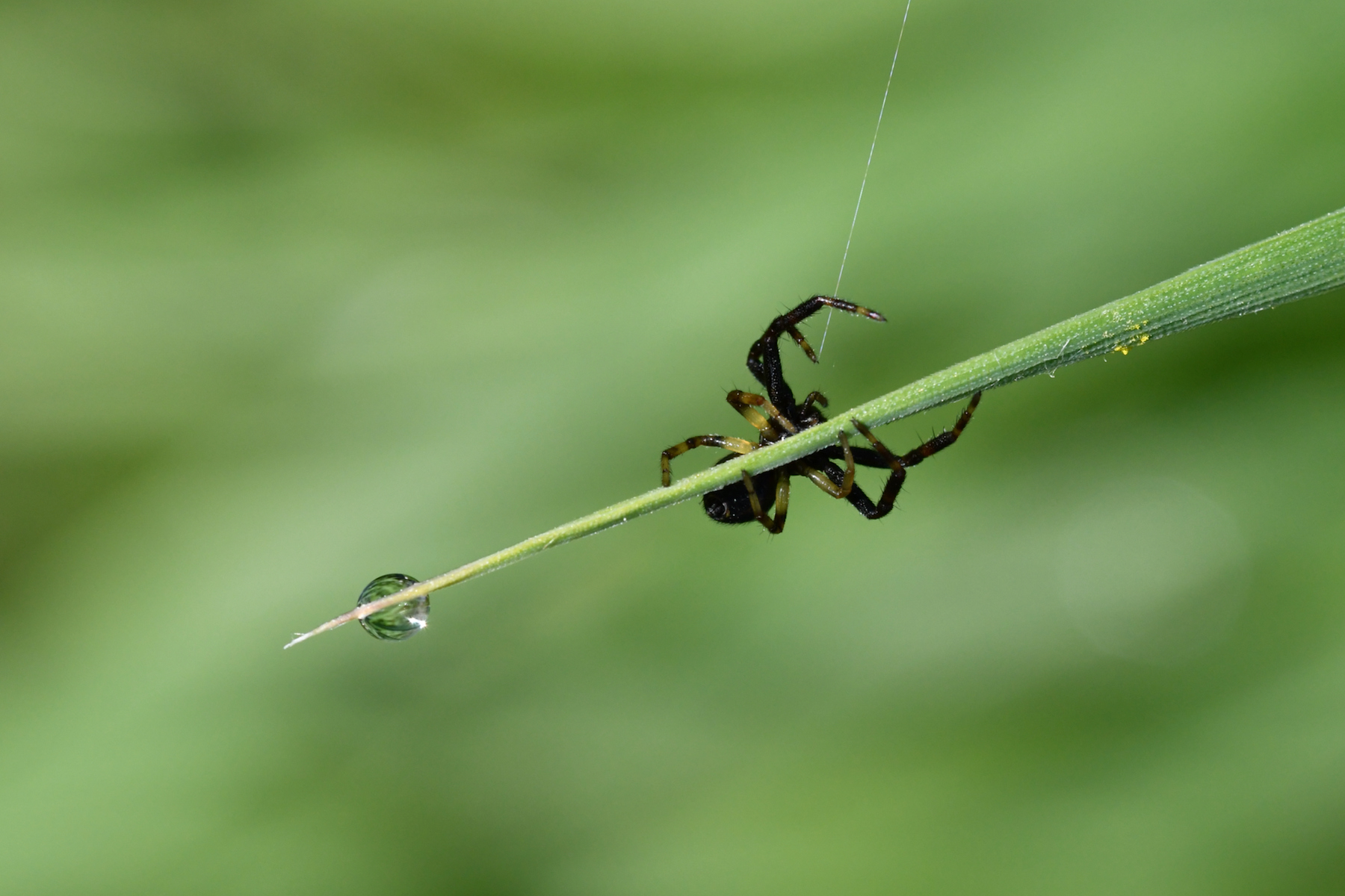 DSC_3152.jpg