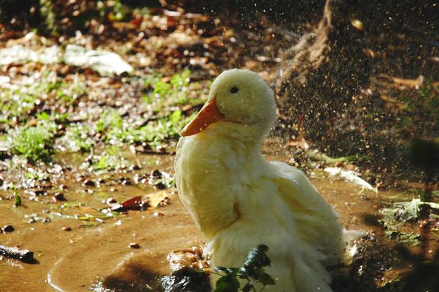 DSC_3890 (Small).JPG